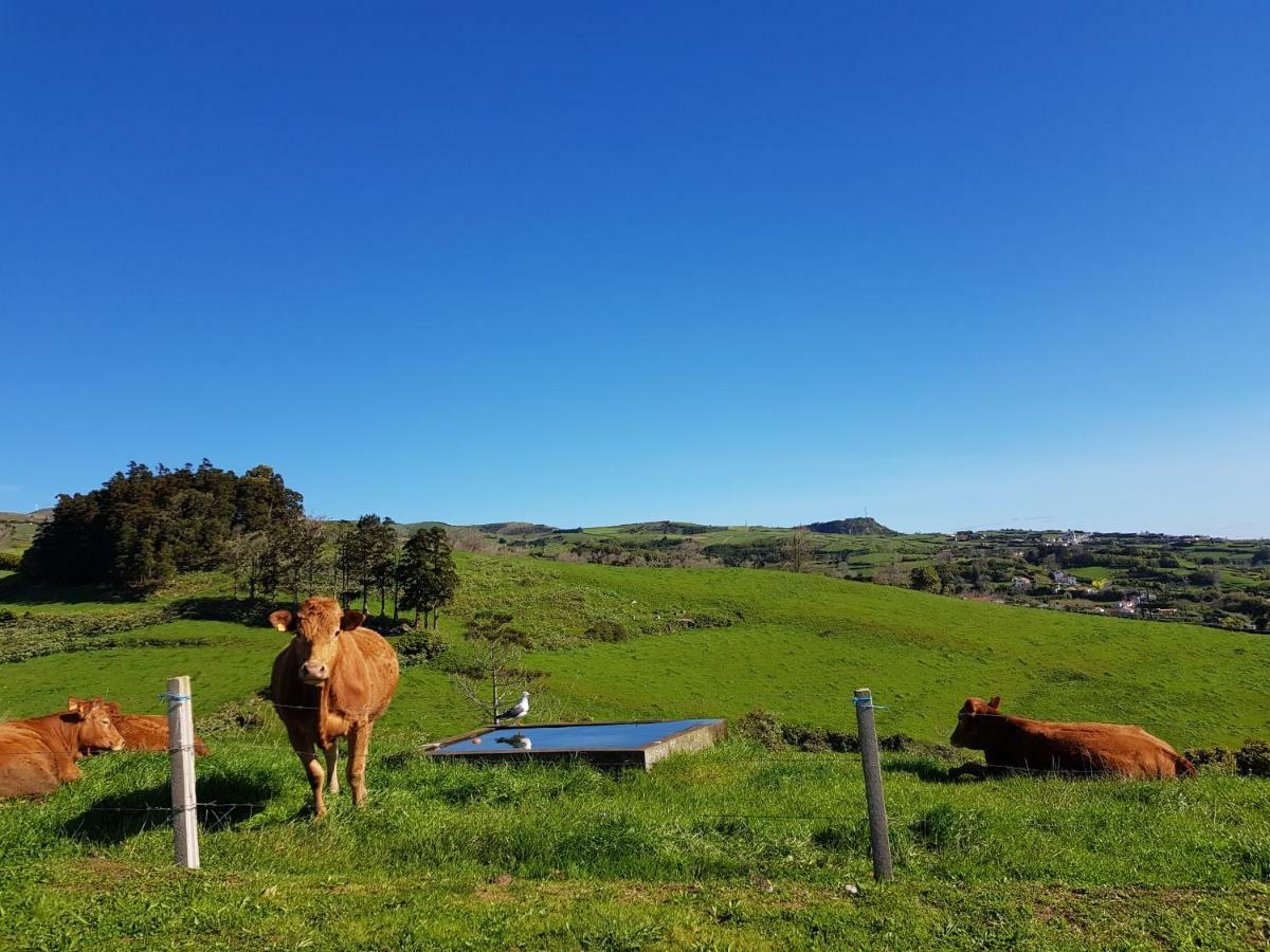 Quinta Do Calvario Lajes das Flores Экстерьер фото
